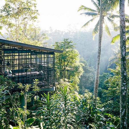 Hotel Hoshinoya Bali Ubud Zewnętrze zdjęcie
